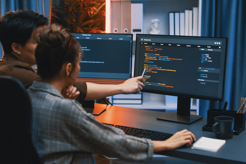 Software development services